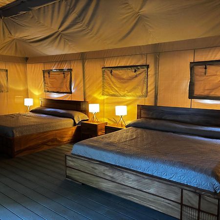 Arenal Backpackers Resort La Fortuna Luaran gambar