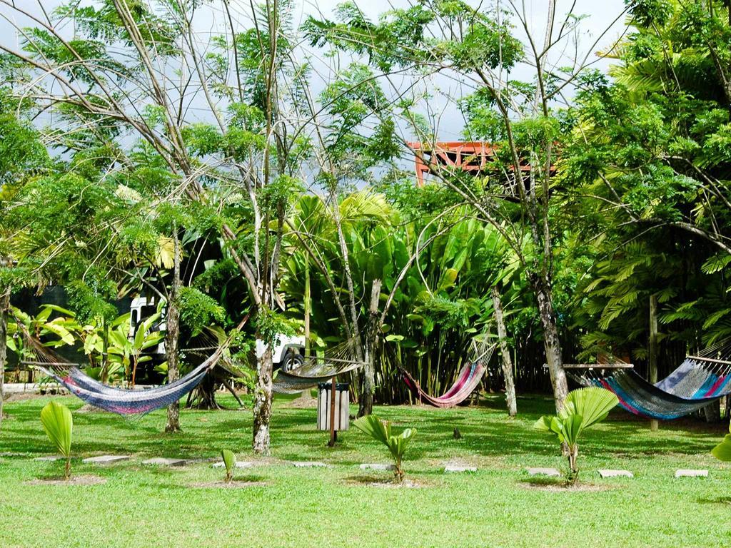 Arenal Backpackers Resort La Fortuna Luaran gambar Hammocks in the garden of a hostel in Central America