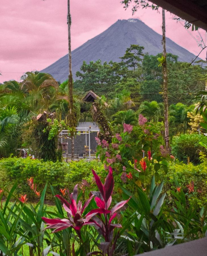 Arenal Backpackers Resort La Fortuna Luaran gambar La Fortuna, Costa Rica