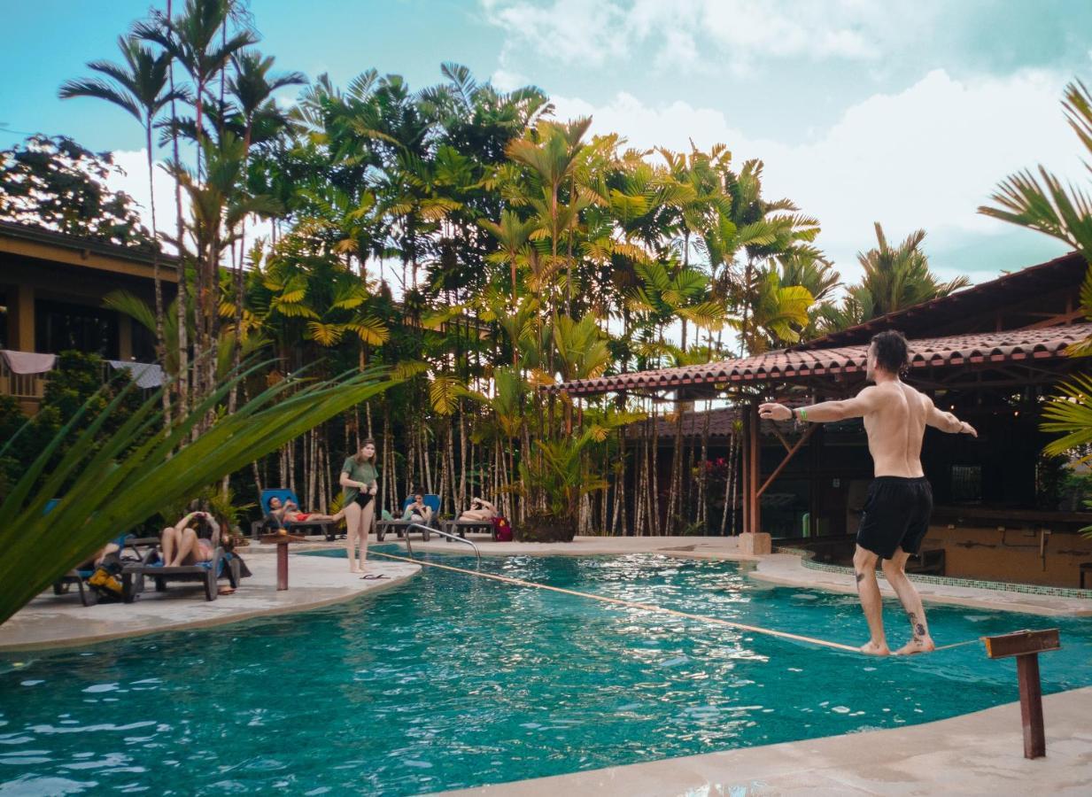 Arenal Backpackers Resort La Fortuna Luaran gambar A swimming pool in the resort