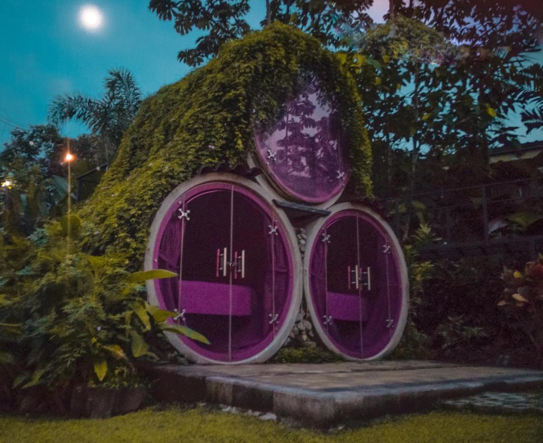 Arenal Backpackers Resort La Fortuna Luaran gambar The Hobbit Hole