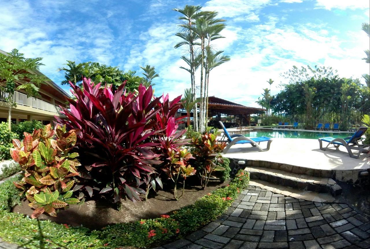 Arenal Backpackers Resort La Fortuna Luaran gambar The pool at the resort
