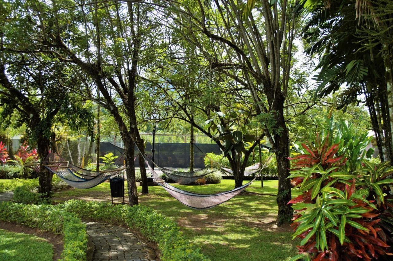 Arenal Backpackers Resort La Fortuna Luaran gambar Hammocks at the University of Hawaii at Hilo
